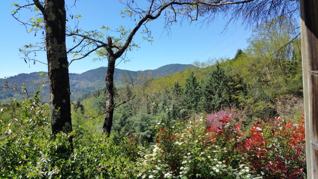 Camping Les Sources Saint-Jean-du-Gard Εξωτερικό φωτογραφία